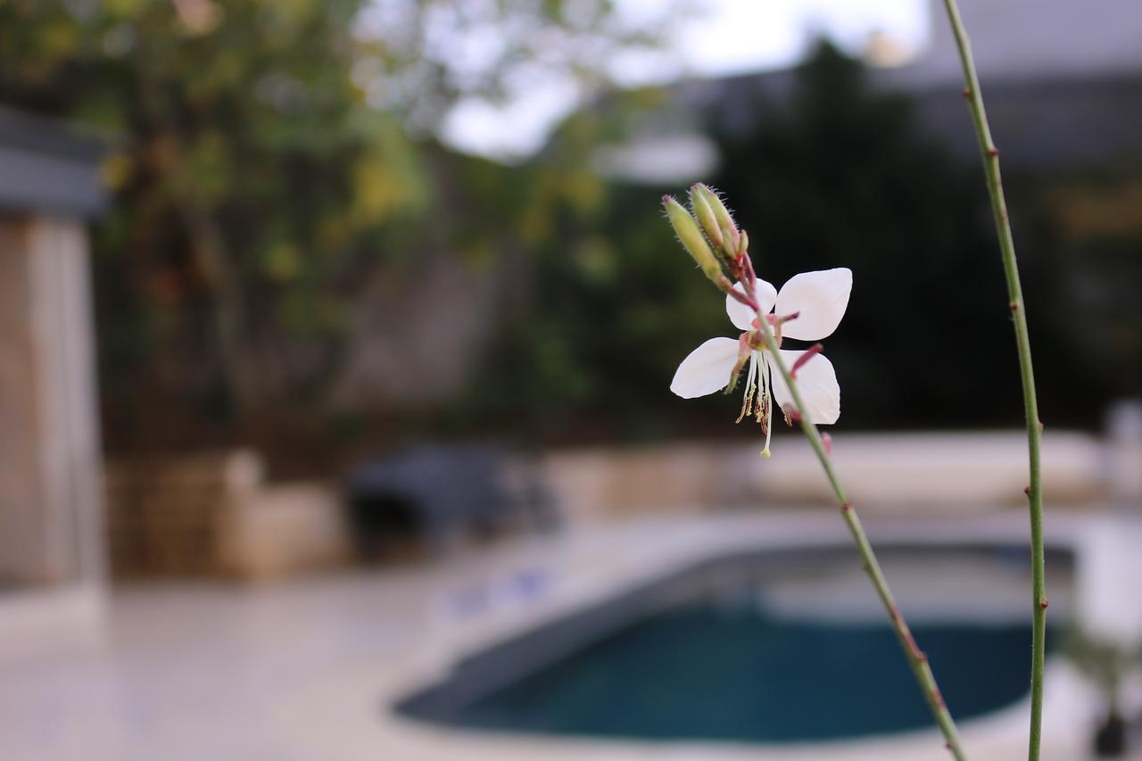 فان Maison De La Garenne & Spa المظهر الخارجي الصورة